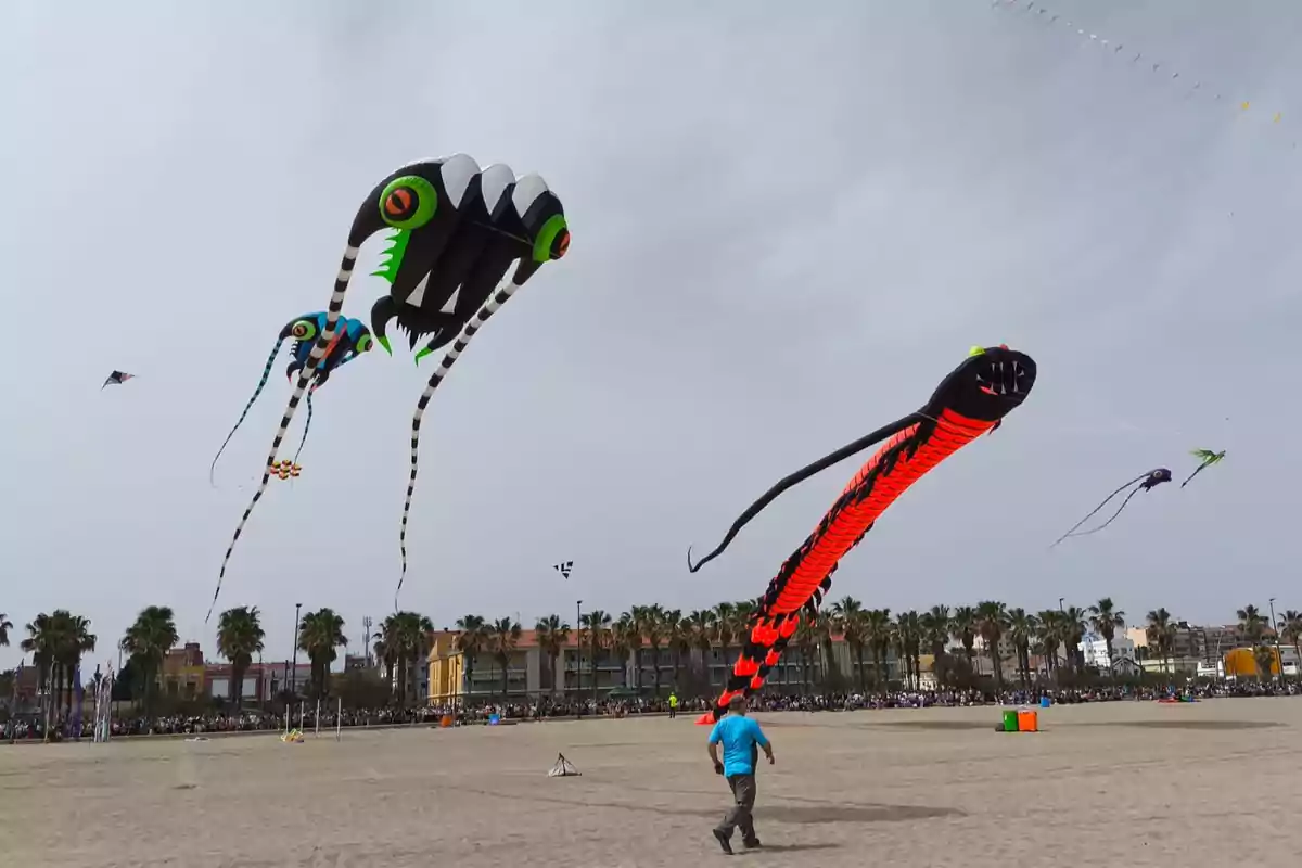 Cometas en la playa de Castellón