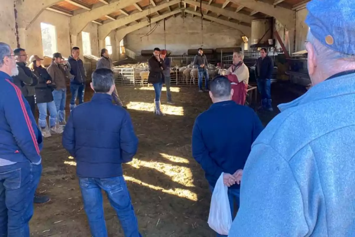 Reunión de los ganaderos de Morella