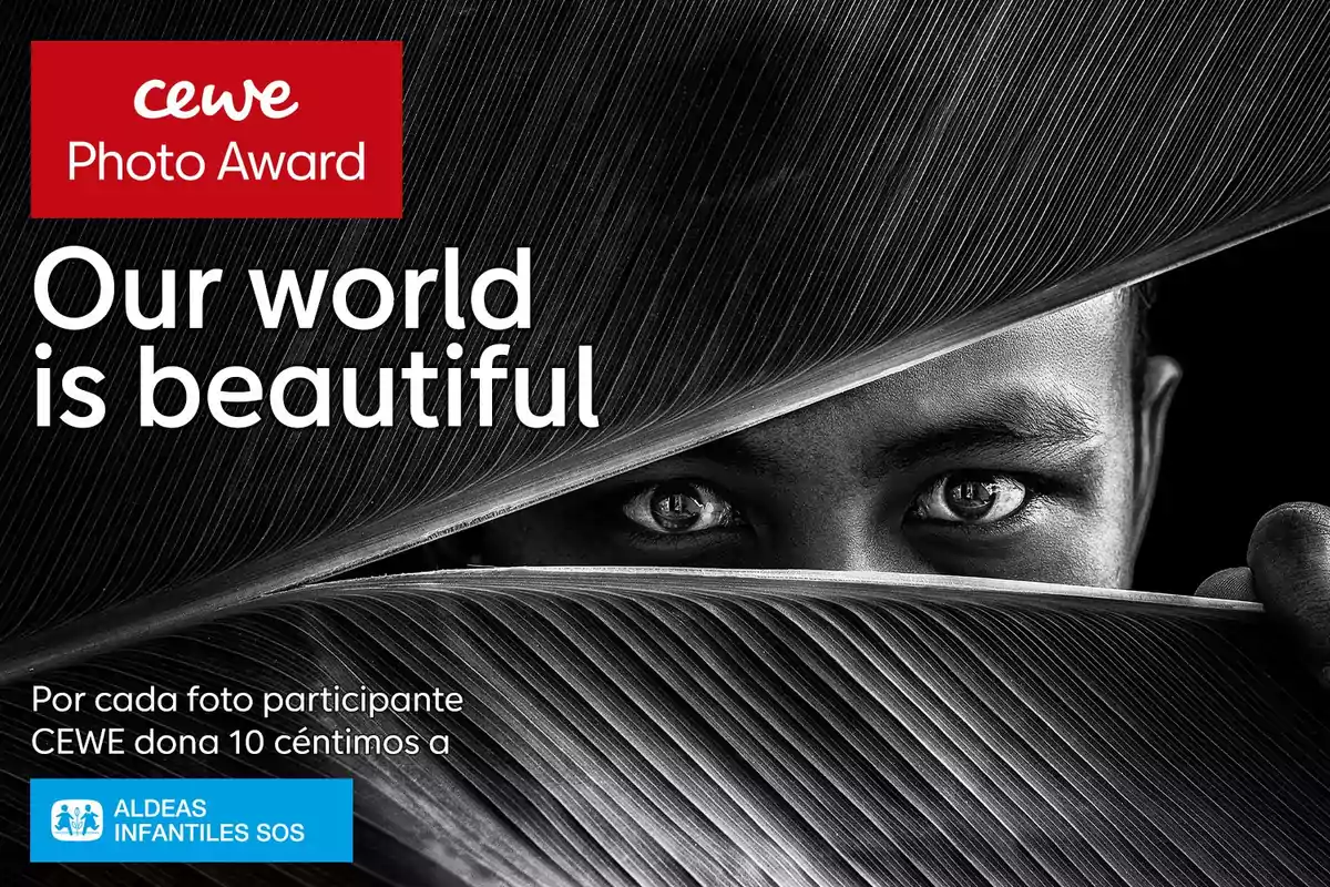 Cartel anunciador CEWE Photo Award