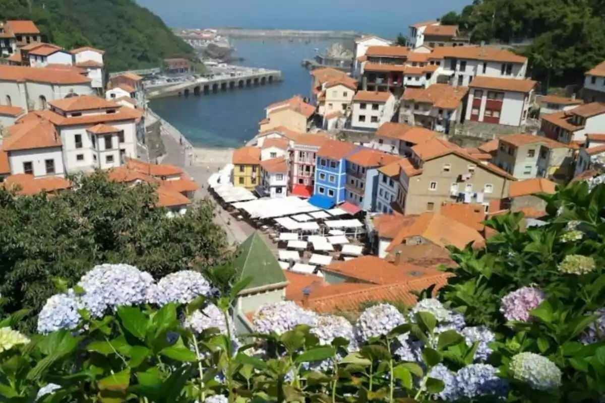 Vista panorámica de un pintoresco pueblo costero con casas de techos rojos, un puerto y flores en primer plano.
