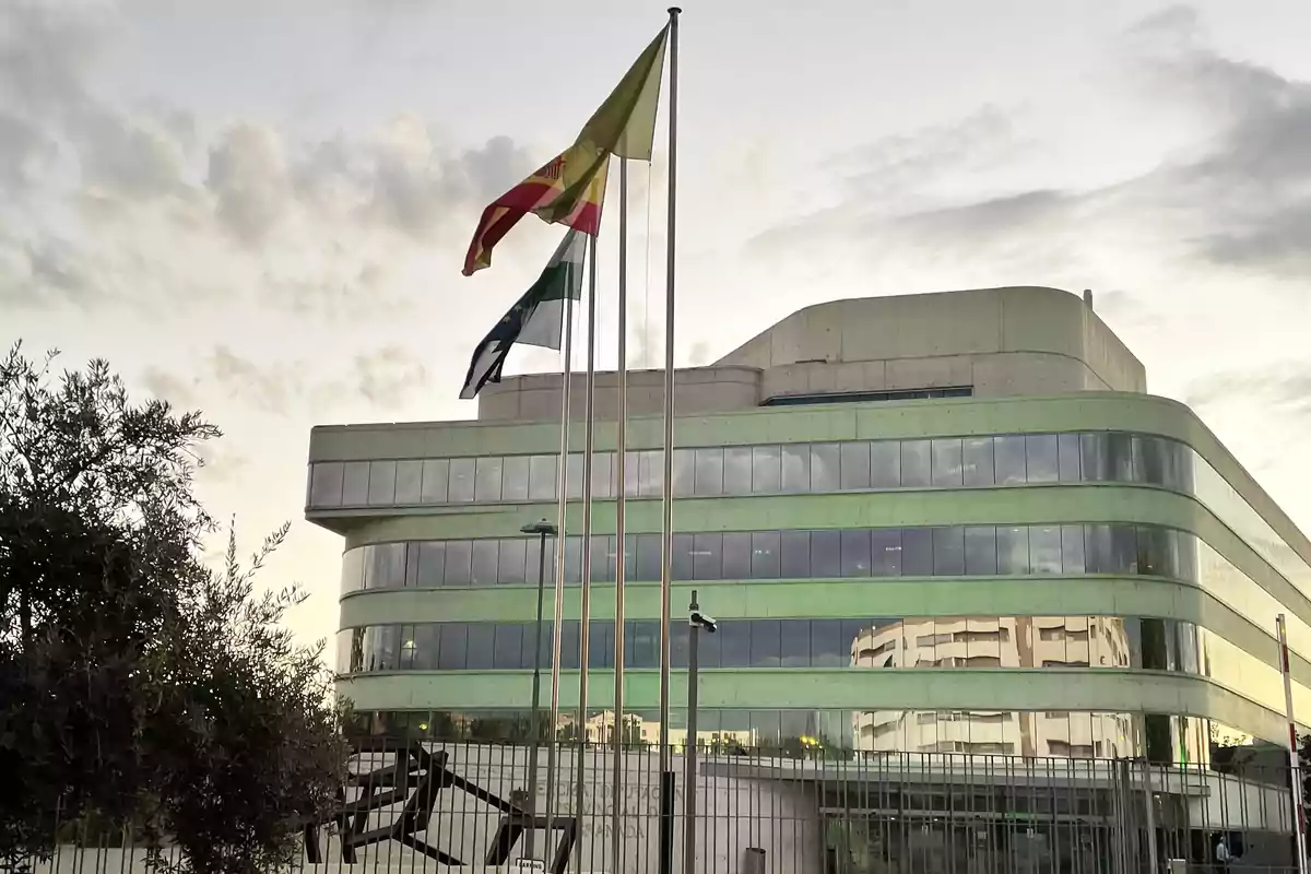 Edificio moderno con fachada de vidrio y tres banderas ondeando en mástiles frente a él.