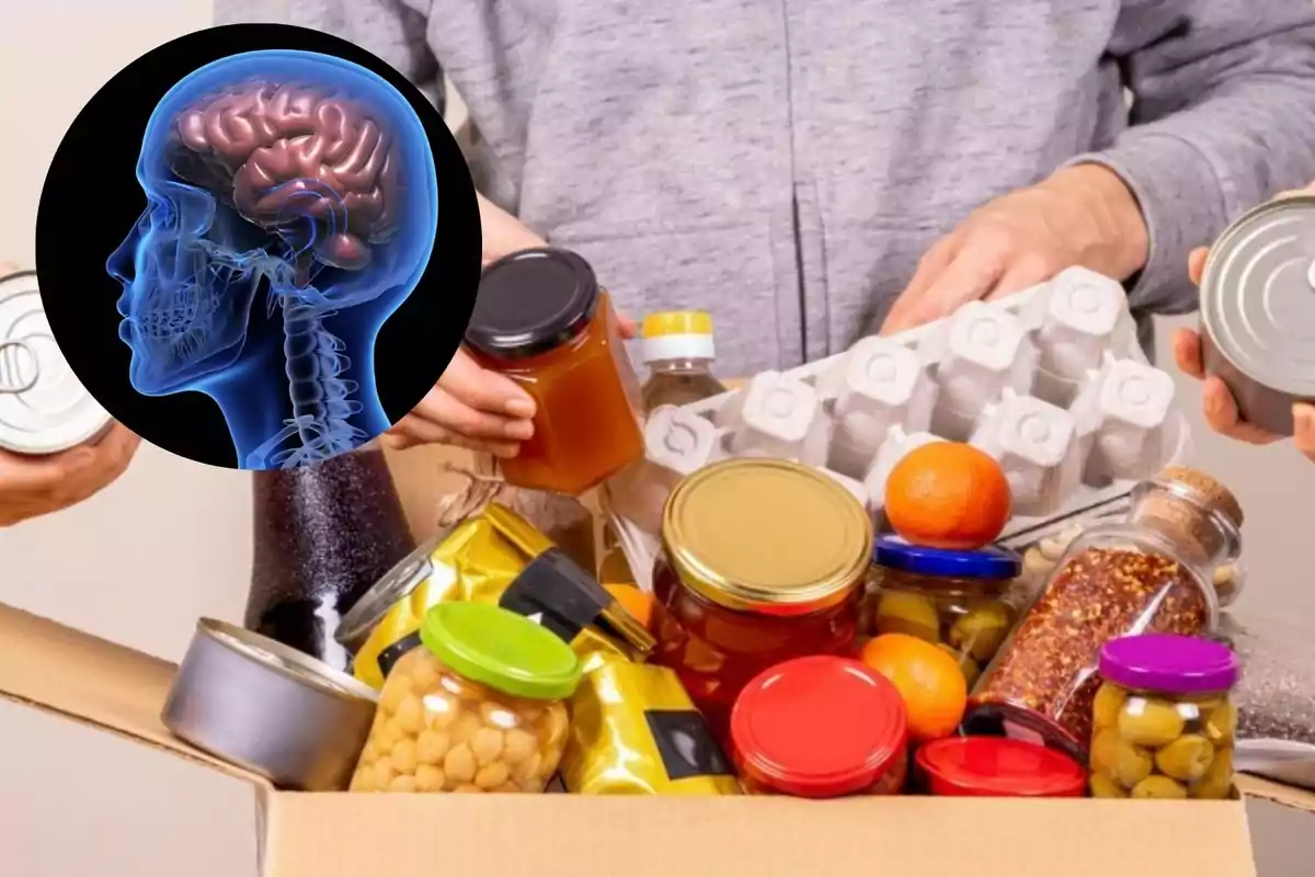 Collage de alimentos y cerebro