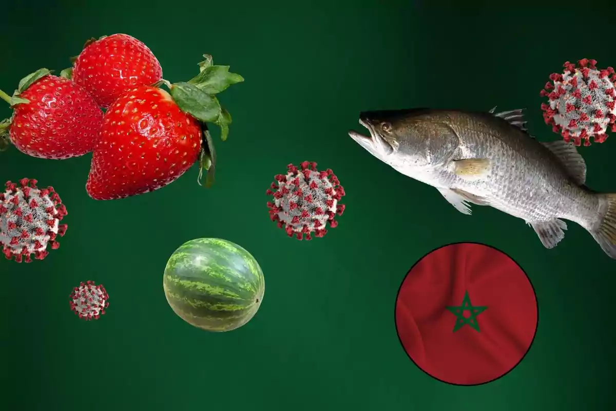 Imagen con fondo verde que muestra fresas, un pez, una sandía, partículas del virus COVID-19 y la bandera de Marruecos.