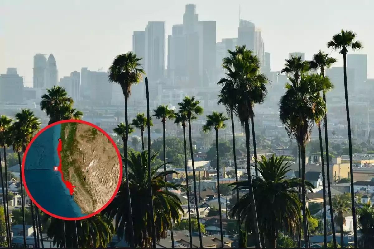 Vista de una ciudad con palmeras en primer plano y un mapa en un círculo rojo superpuesto mostrando una región costera.