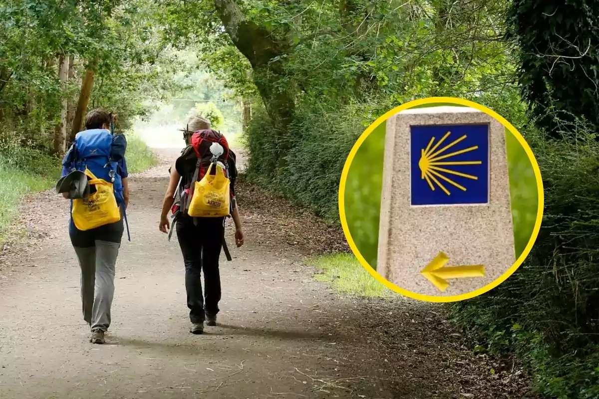 Dos personas caminando por un sendero arbolado con mochilas grandes, junto a una señal del Camino de Santiago.