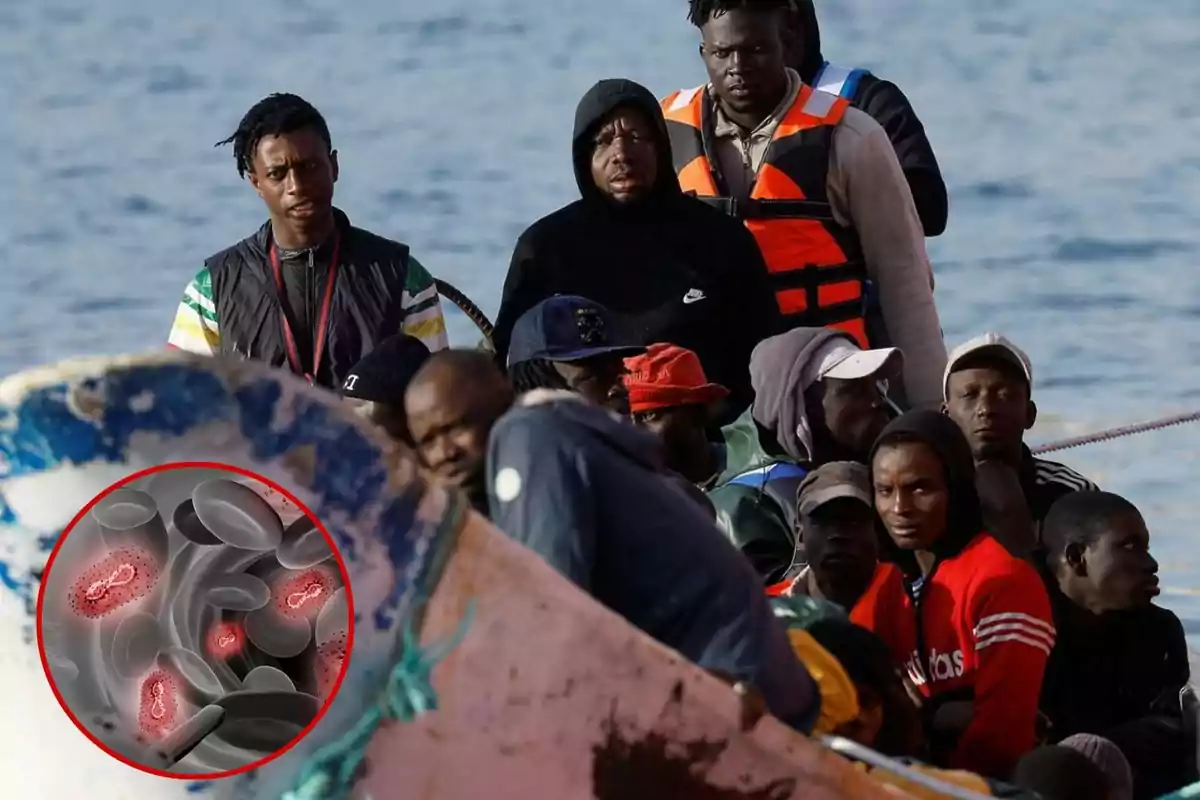 Un grupo de personas en un bote en el mar, con una imagen insertada de células sanguíneas infectadas.