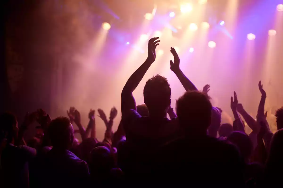 Personas disfrutando de un concierto con luces de colores en el escenario.