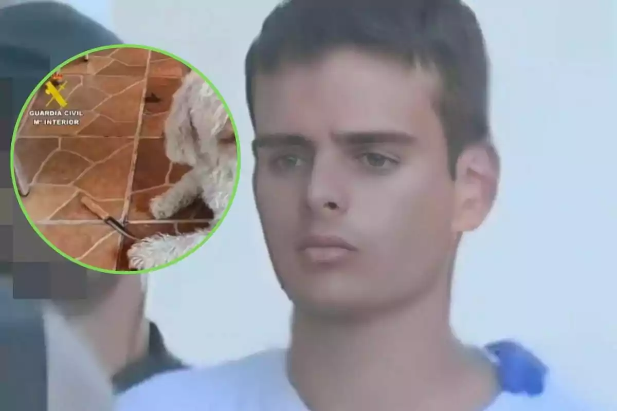 Un joven con expresión seria aparece en primer plano, mientras que en un recuadro circular se muestra a un perro junto a un cuchillo en el suelo, con el logo de la Guardia Civil en la esquina superior izquierda del recuadro.