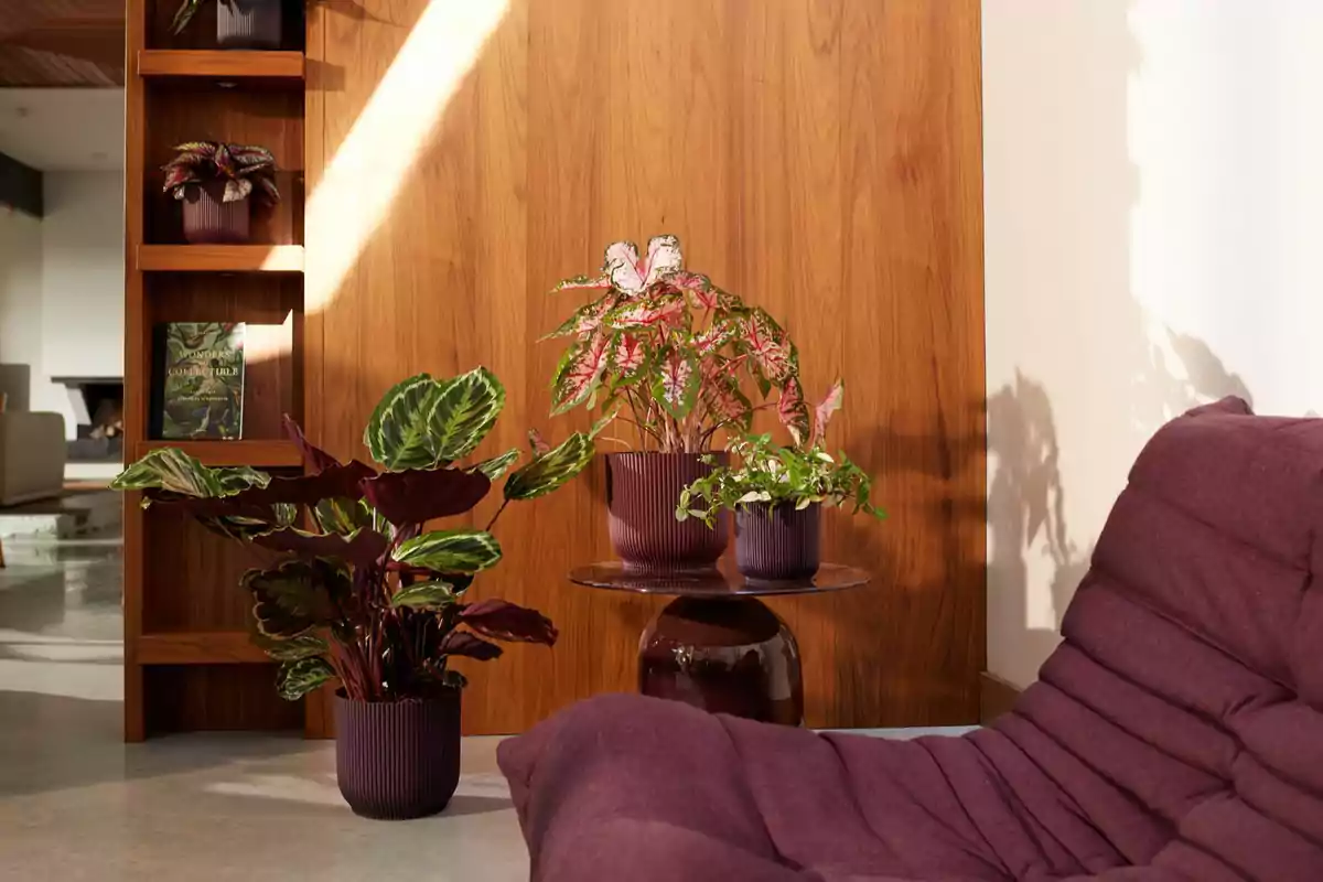 Un rincón acogedor con plantas en macetas y un sillón morado frente a una pared de madera iluminada por la luz del sol.