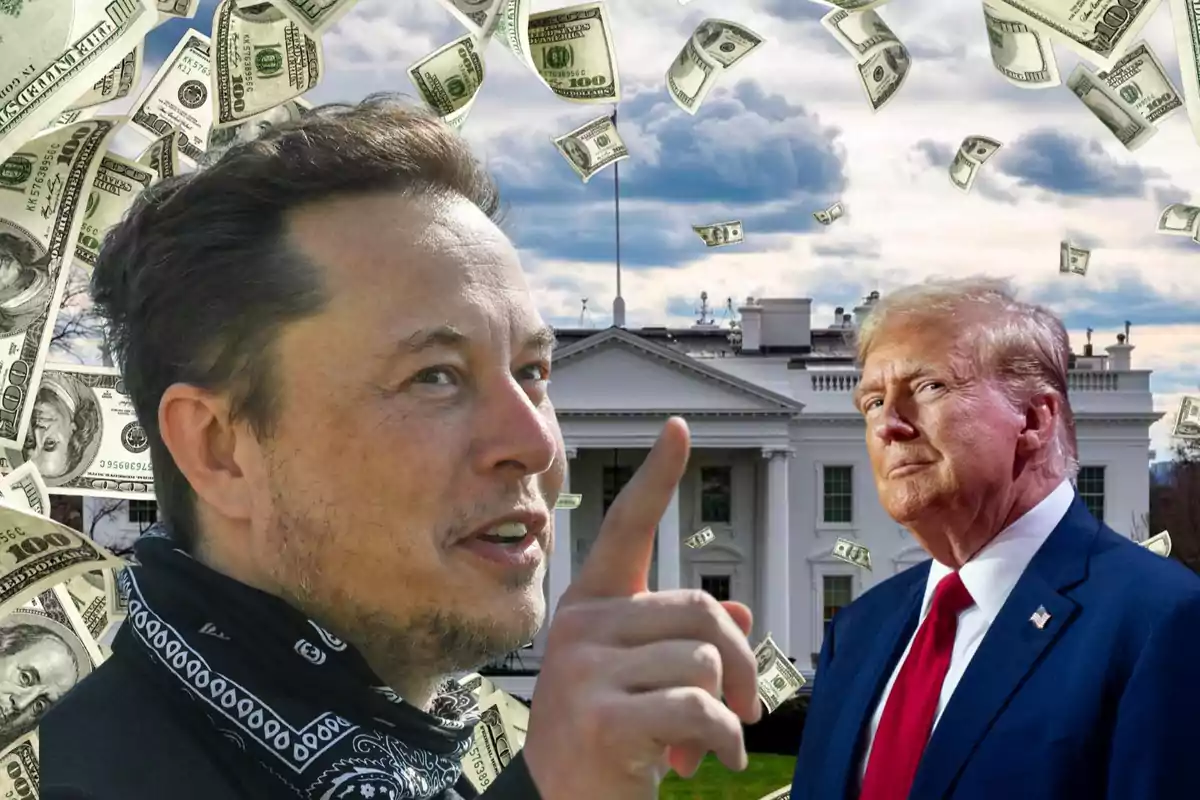 Montaje de Elon Musk y Donald Trump