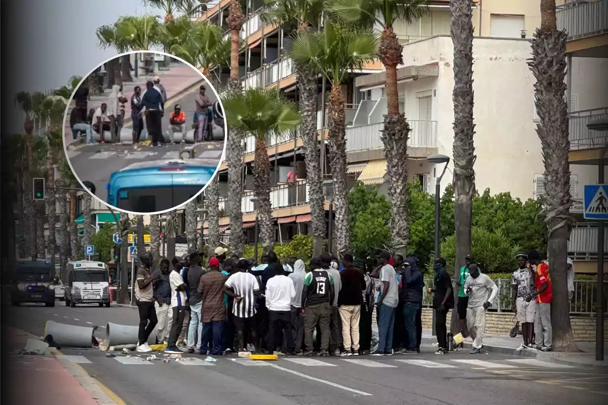 Un grupo numeroso de personas se encuentra reunido en medio de una calle rodeada de palmeras y edificios, mientras algunos objetos y barreras están tirados en el suelo y se observan vehículos policiales al fondo