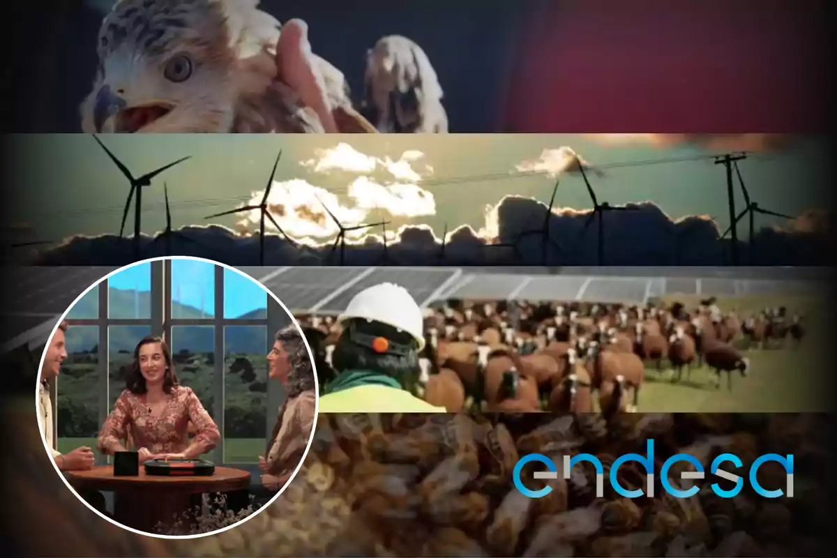 La imagen muestra una serie de escenas relacionadas con la naturaleza y la energía, incluyendo un ave, turbinas eólicas, un grupo de personas conversando, un rebaño de ovejas y el logotipo de Endesa.