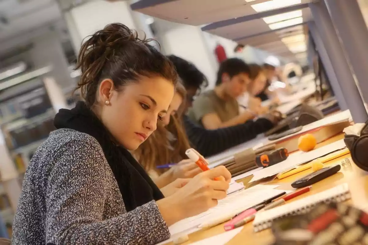 Estudiantes concentrados estudiando en una biblioteca. Estudiantes concentrados estudiando en una biblioteca.