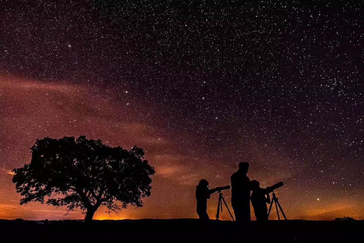 Personas observando el cielo estrellado con telescopios junto a un árbol al atardecer.