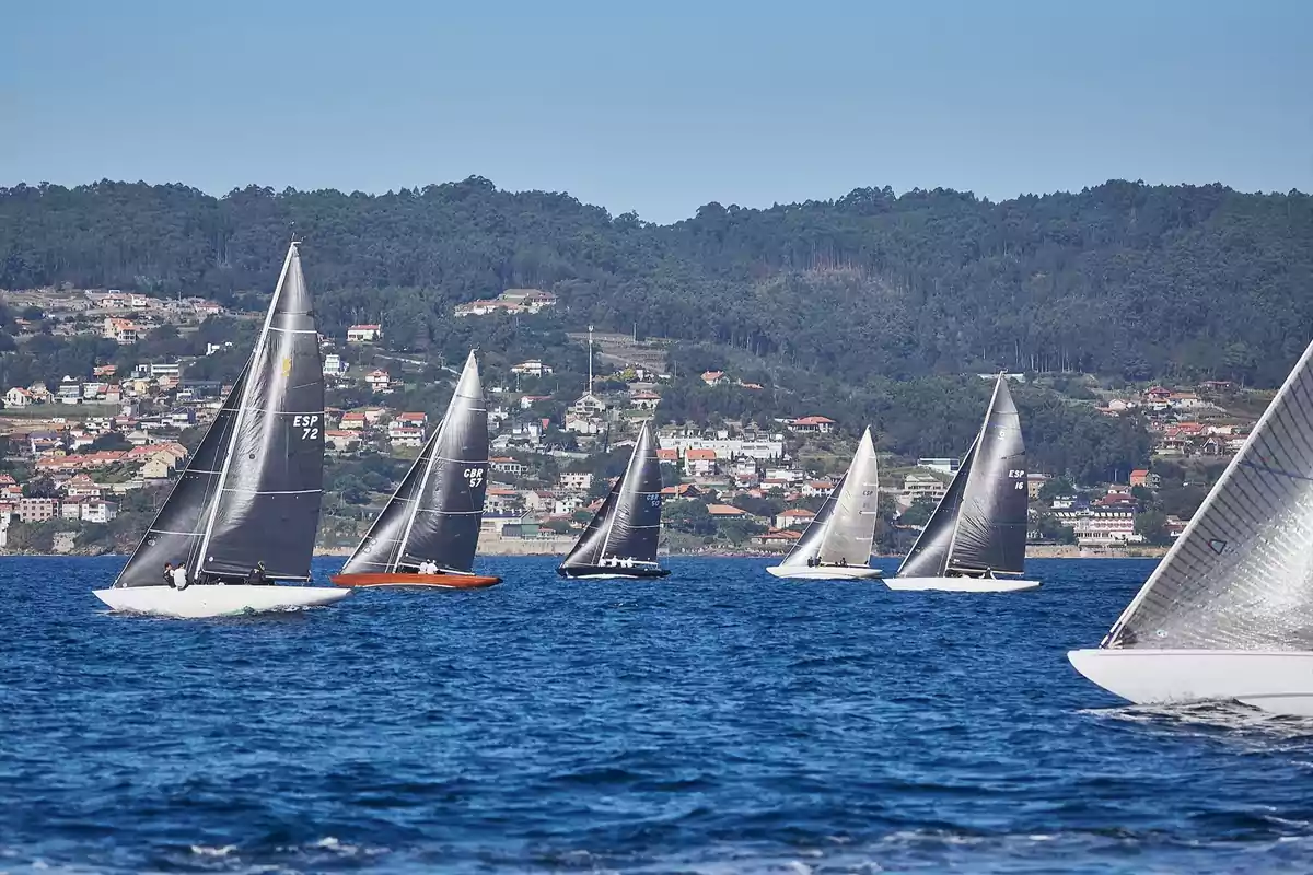 Regata de veleros en el mar con un paisaje de casas y colinas al fondo.