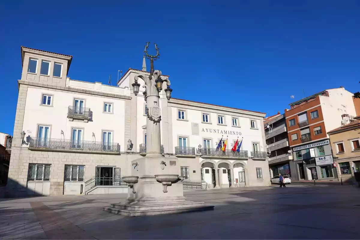 Edificio del ayuntamiento con una fuente en primer plano y varias banderas en la fachada bajo un cielo despejado.