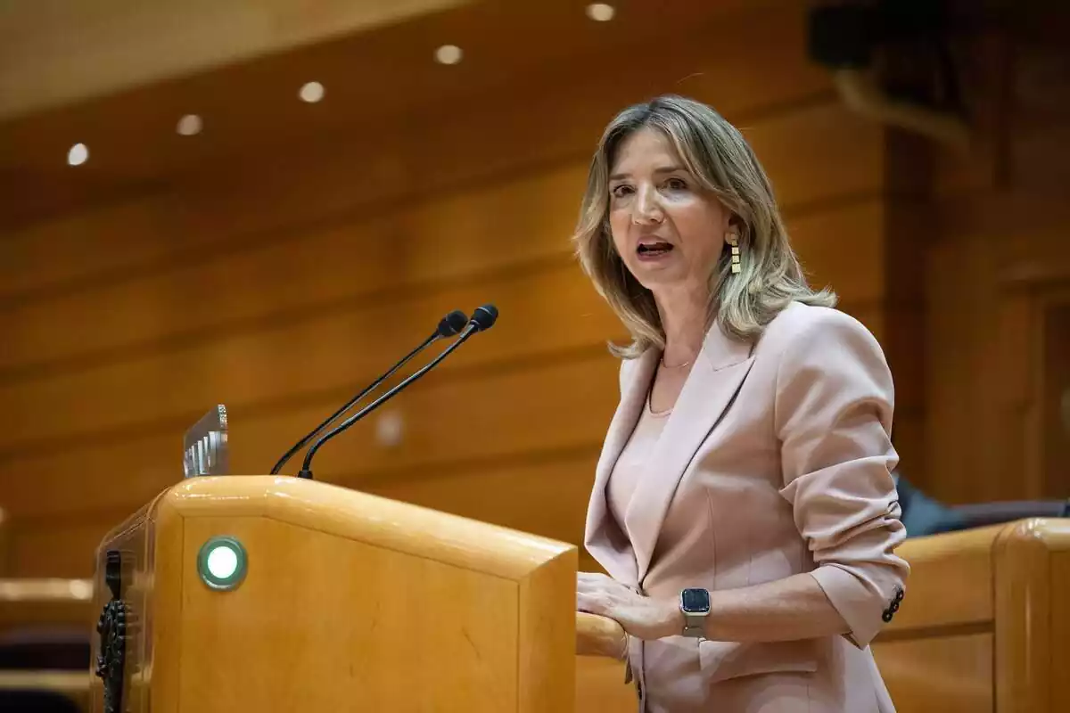 Alicia García, portavoz del PP en el Senado