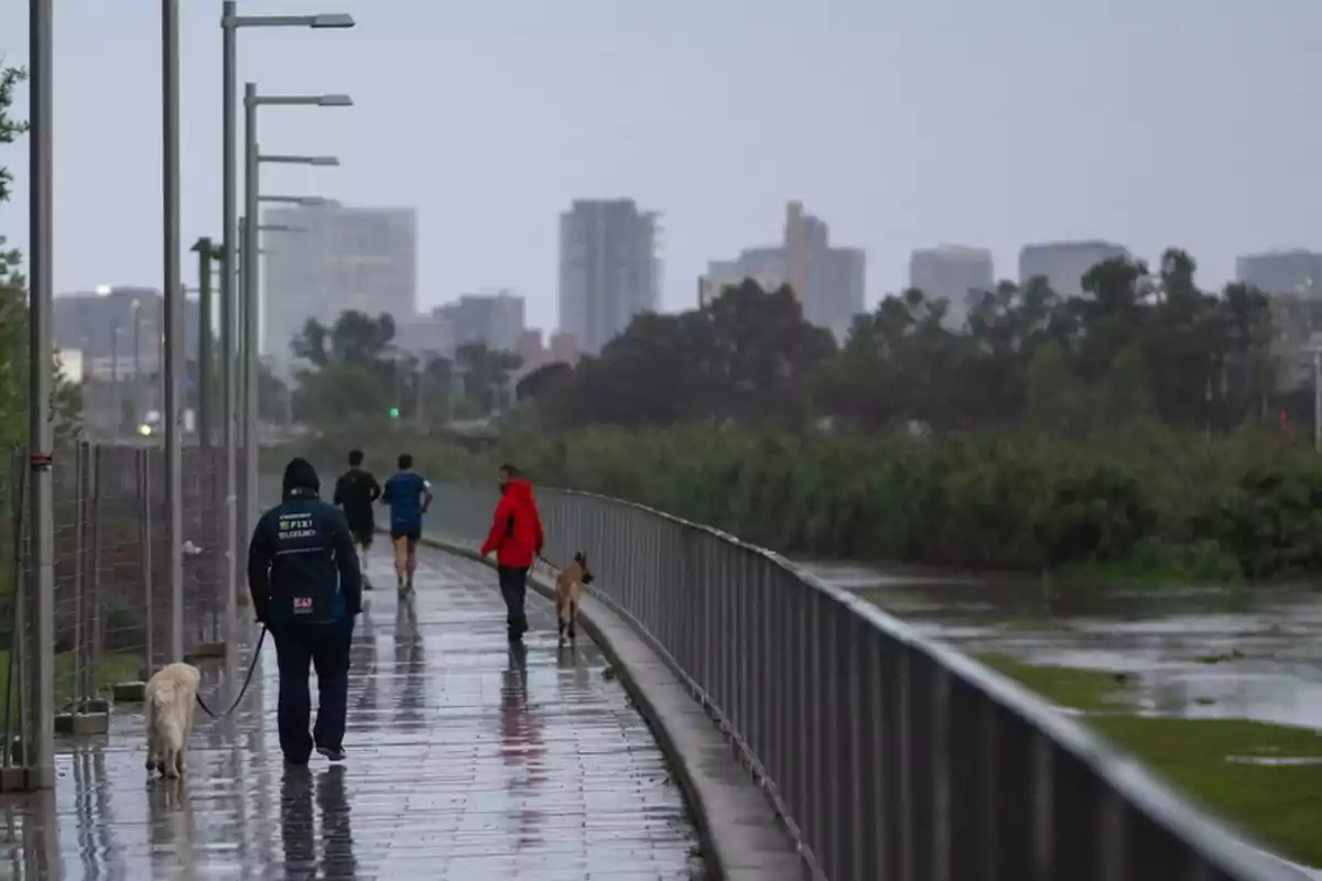 Personas caminando y corriendo con perros en un sendero urbano bajo la lluvia con edificios al fondo.