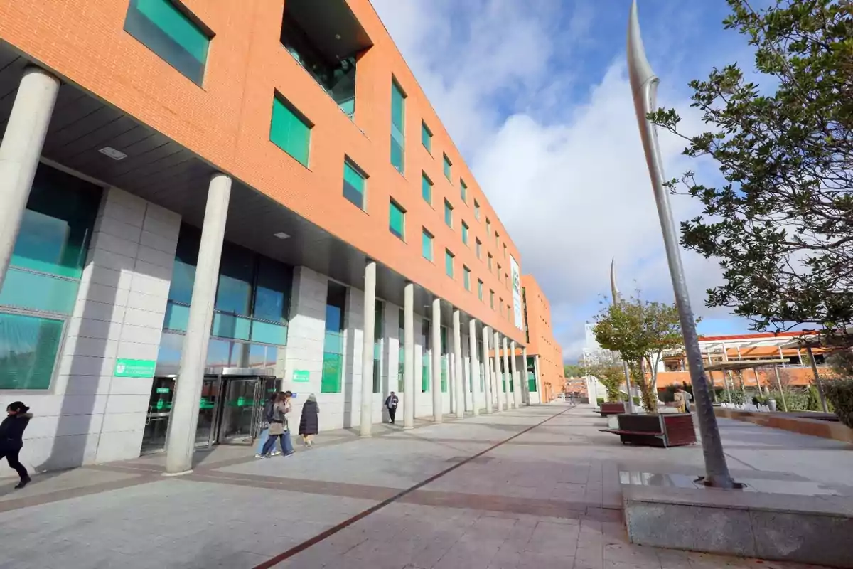 Edificio moderno de ladrillo con ventanas verdes y columnas en la entrada, rodeado de árboles y un cielo parcialmente nublado.