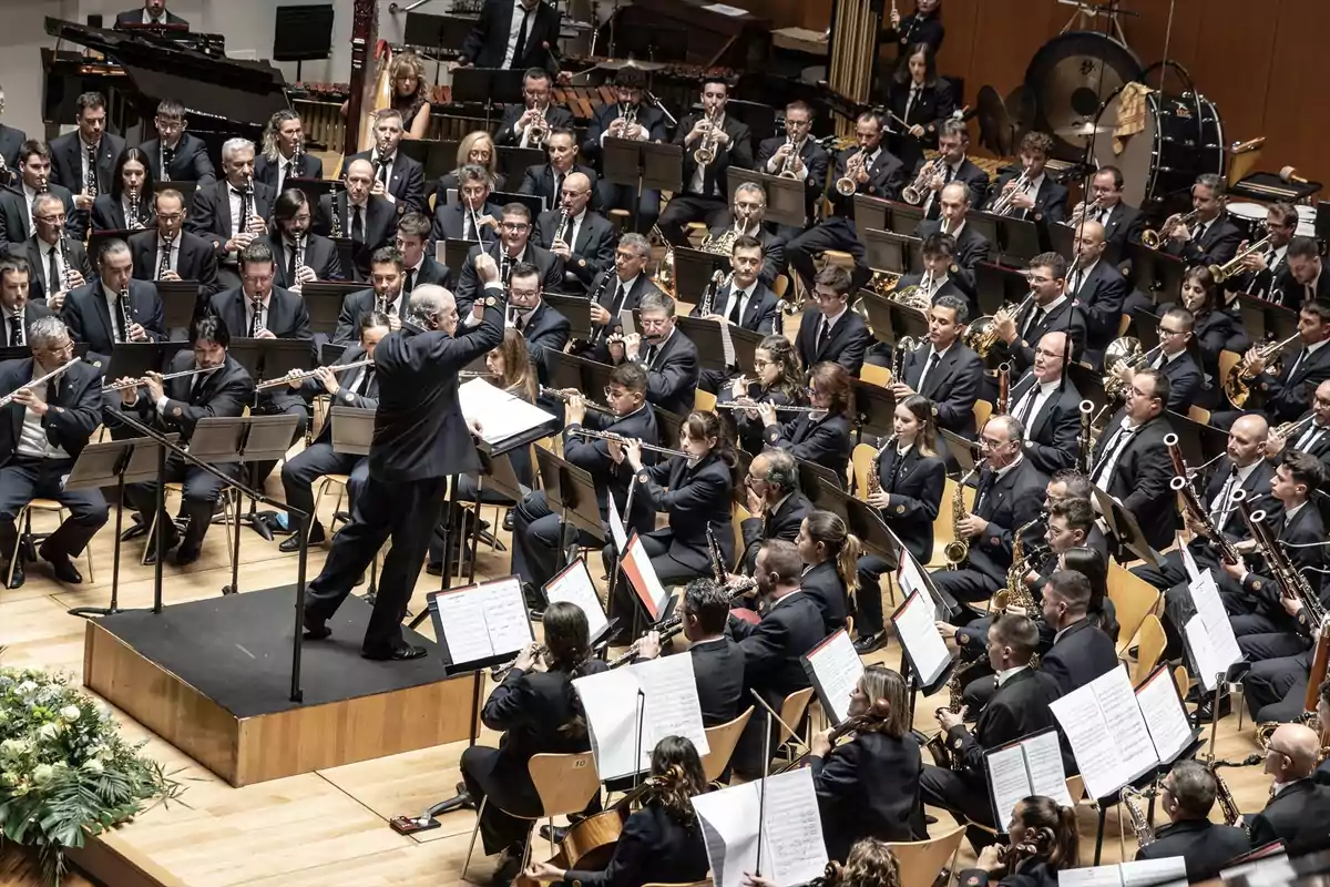 Orquesta sinfónica en pleno concierto en el Palau de la Música de Valencia