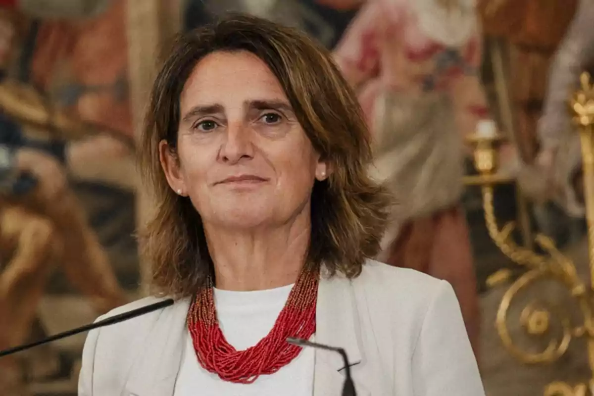 Una mujer con cabello castaño y un collar rojo está de pie frente a un fondo decorativo.