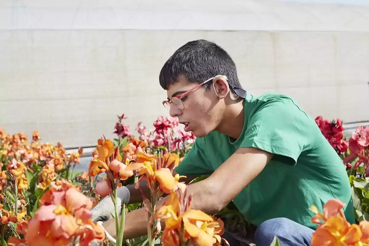 Persona joven cuidando flores naranjas en un jardín.