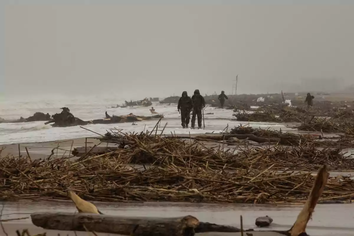 Personas caminando por una playa llena de escombros y madera arrastrada por el mar en un día nublado.