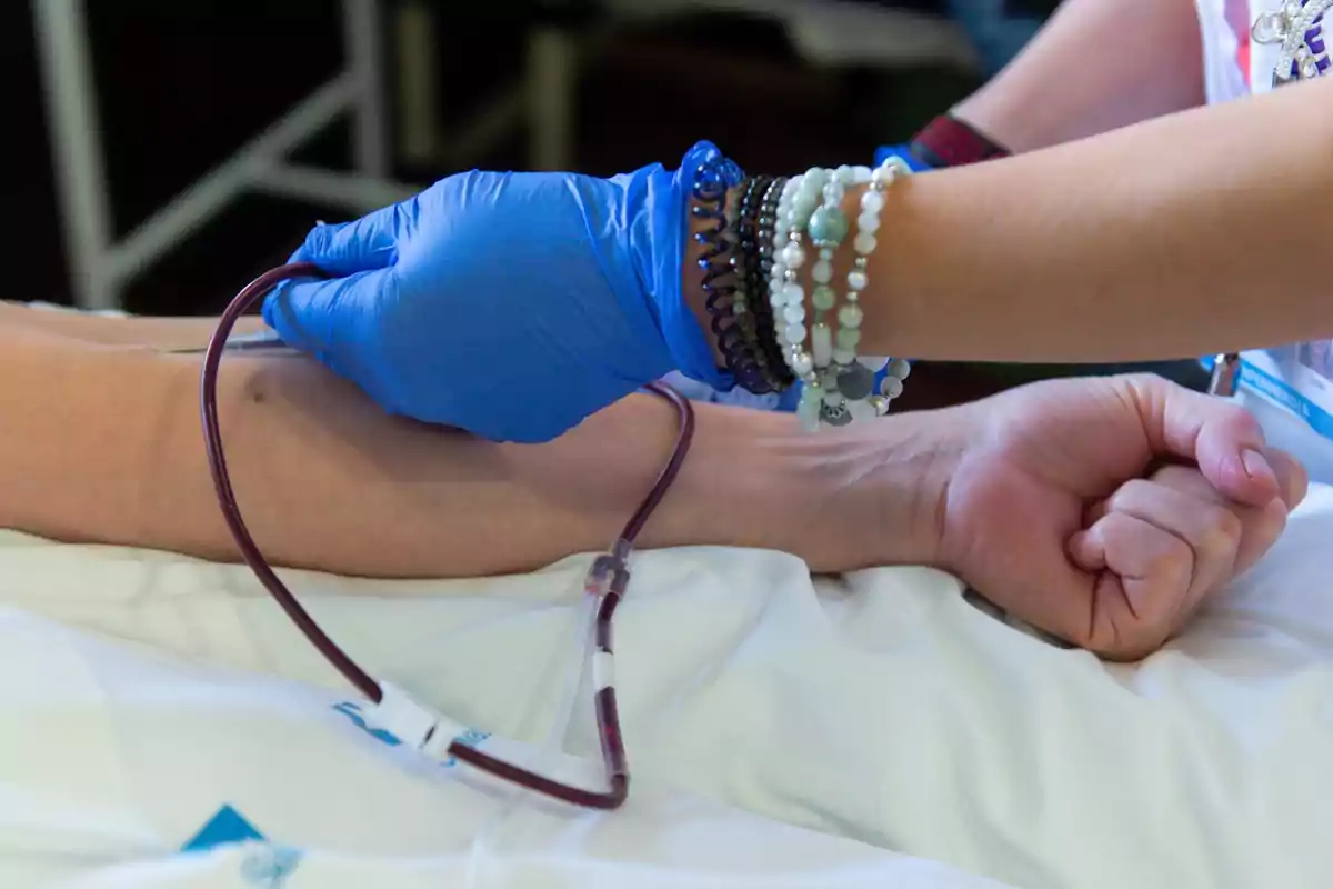Persona con guantes azules extrae sangre del brazo de un paciente usando una aguja y un tubo Persona con guantes azules extrae sangre del brazo de un paciente usando una aguja y un tubo