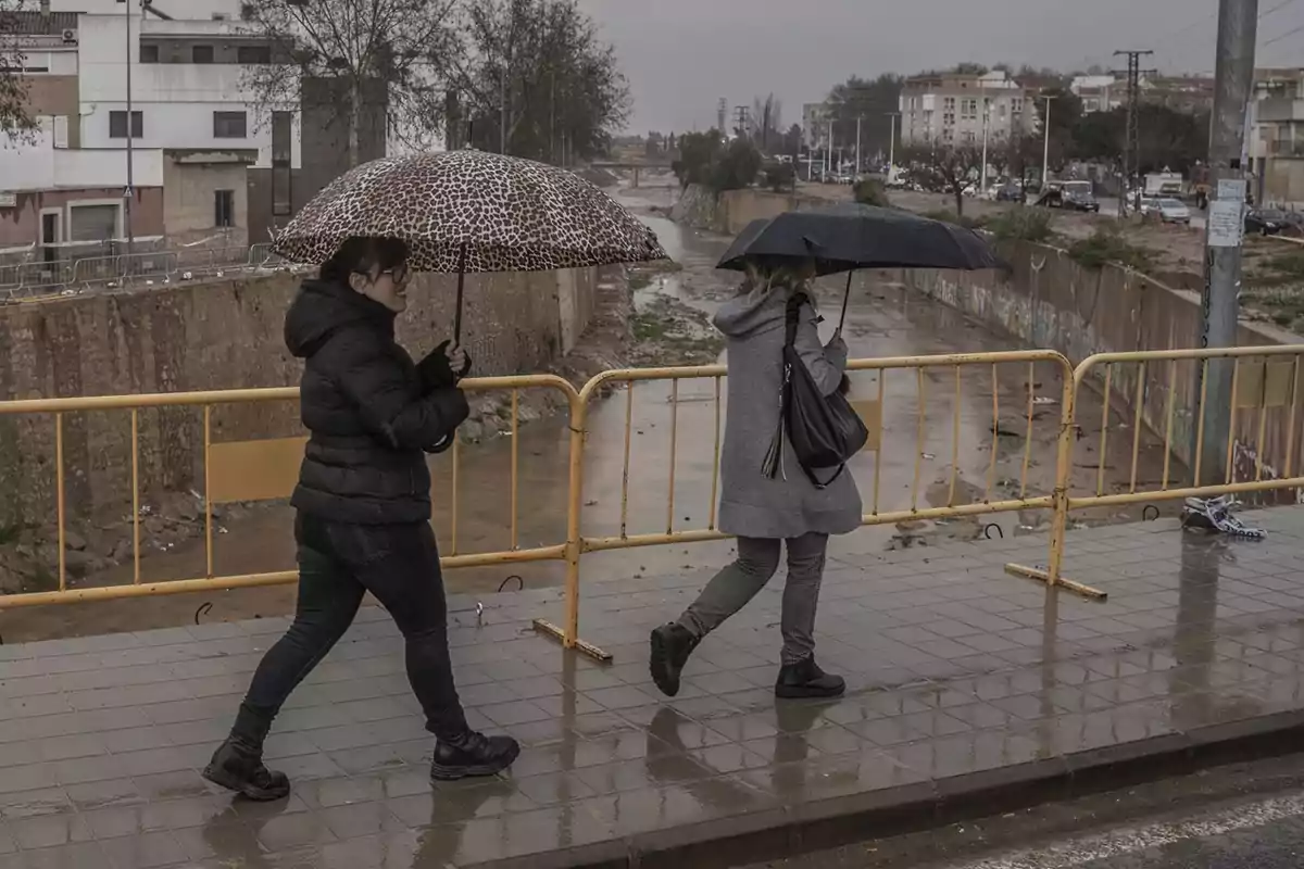 Two people walk in the rain with umbrellas on a sidewalk next to a yellow barrier and a canal.