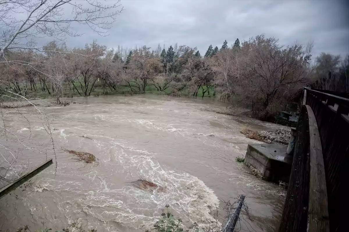 Río crecido con aguas turbulentas rodeado de árboles y un puente a la derecha bajo un cielo nublado.