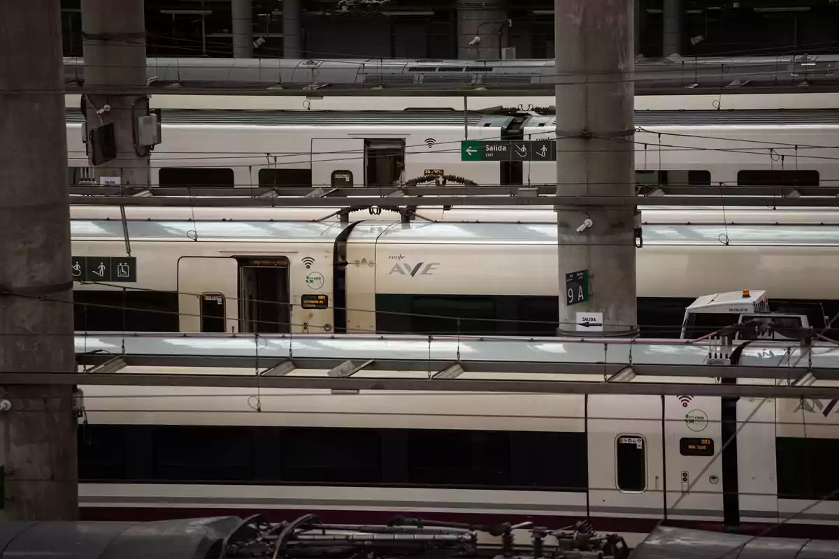 Trenes de alta velocidad estacionados en una terminal ferroviaria. Trenes de alta velocidad estacionados en una terminal ferroviaria.
