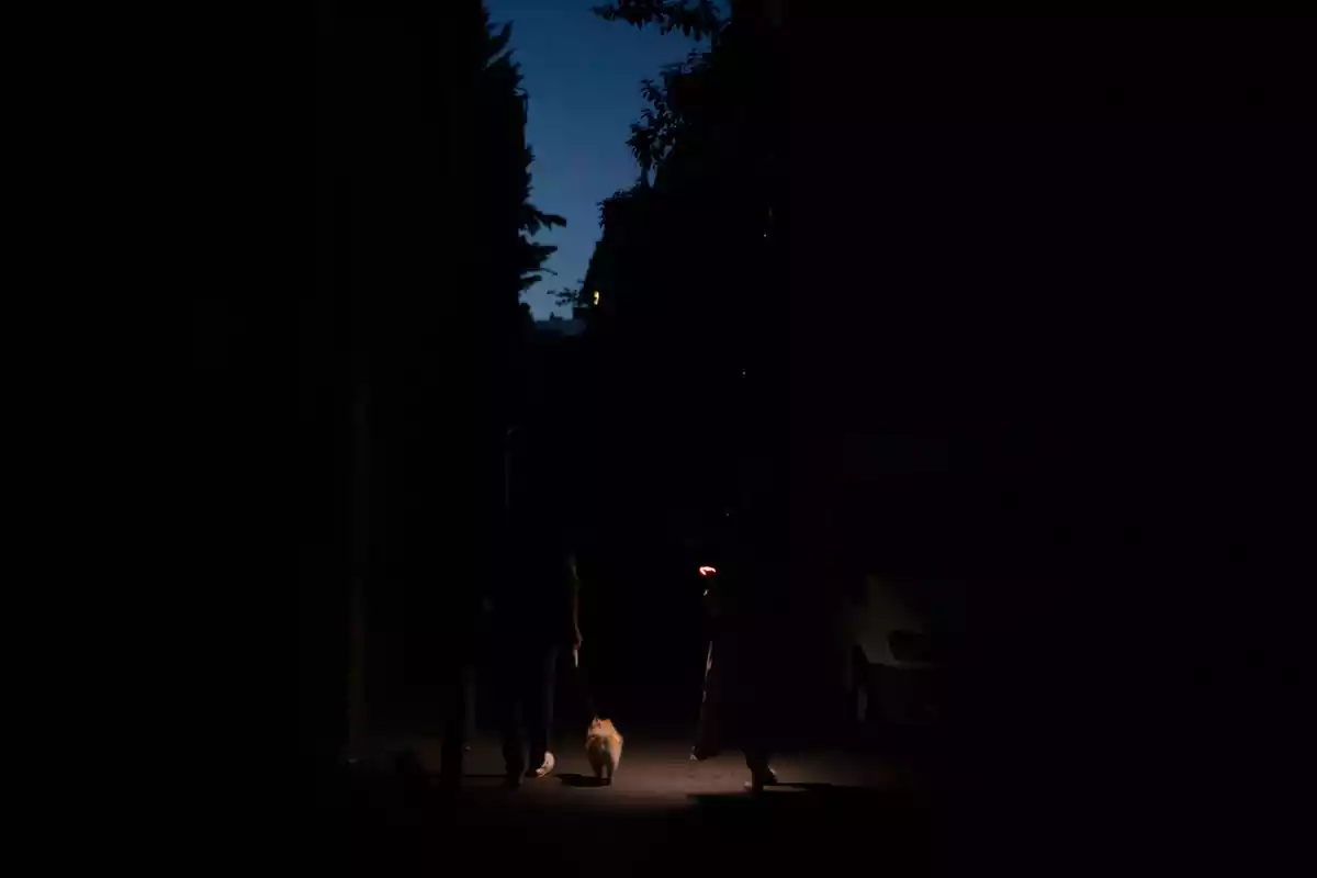 Una persona pasea a un perro por una calle oscura mientras otra persona camina cerca sosteniendo un teléfono iluminado. Una persona pasea a un perro por una calle oscura mientras otra persona camina cerca sosteniendo un teléfono iluminado.