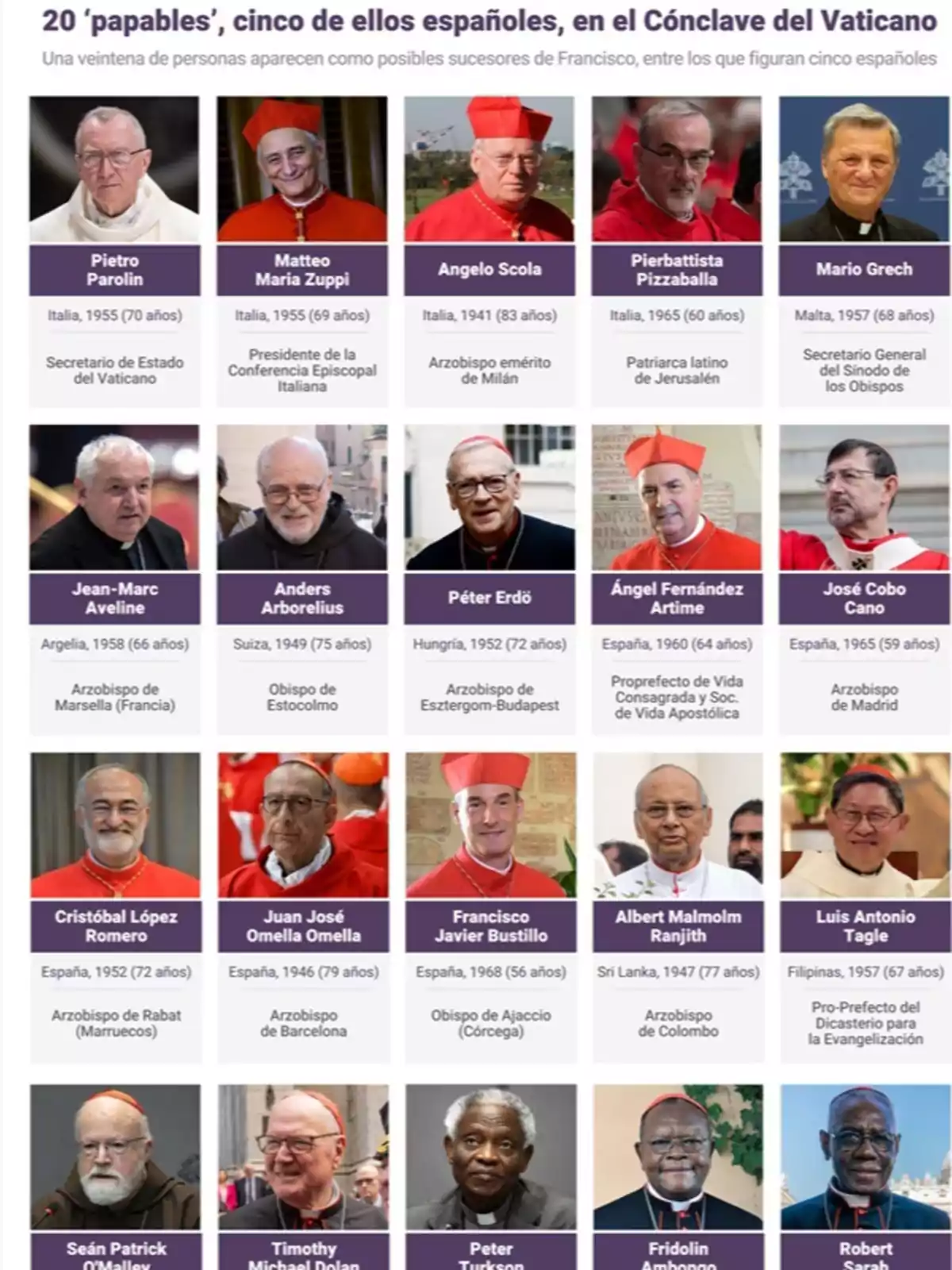 La imagen muestra a veinte cardenales considerados como posibles sucesores del Papa Francisco en el próximo cónclave del Vaticano. Entre ellos se encuentran cinco españoles. Cada cardenal está identificado con su nombre, país de origen, año de nacimiento y cargo actual o título relevante. La imagen muestra a veinte cardenales considerados como posibles sucesores del Papa Francisco en el próximo cónclave del Vaticano. Entre ellos se encuentran cinco españoles. Cada cardenal está identificado con su nombre, país de origen, año de nacimiento y cargo actual o título relevante.