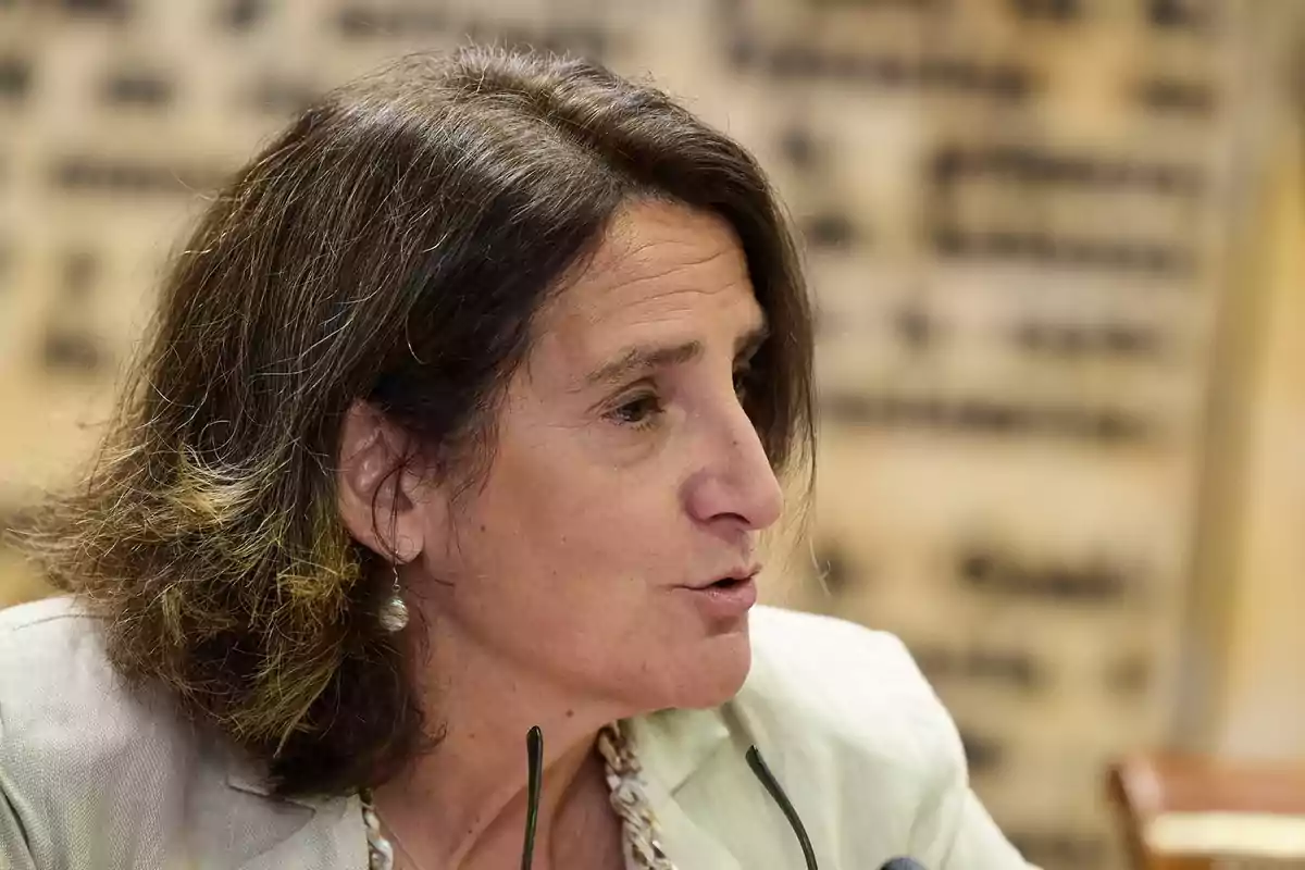 Mujer de cabello castaño y corto hablando en un entorno interior con fondo desenfocado Mujer de cabello castaño y corto hablando en un entorno interior con fondo desenfocado