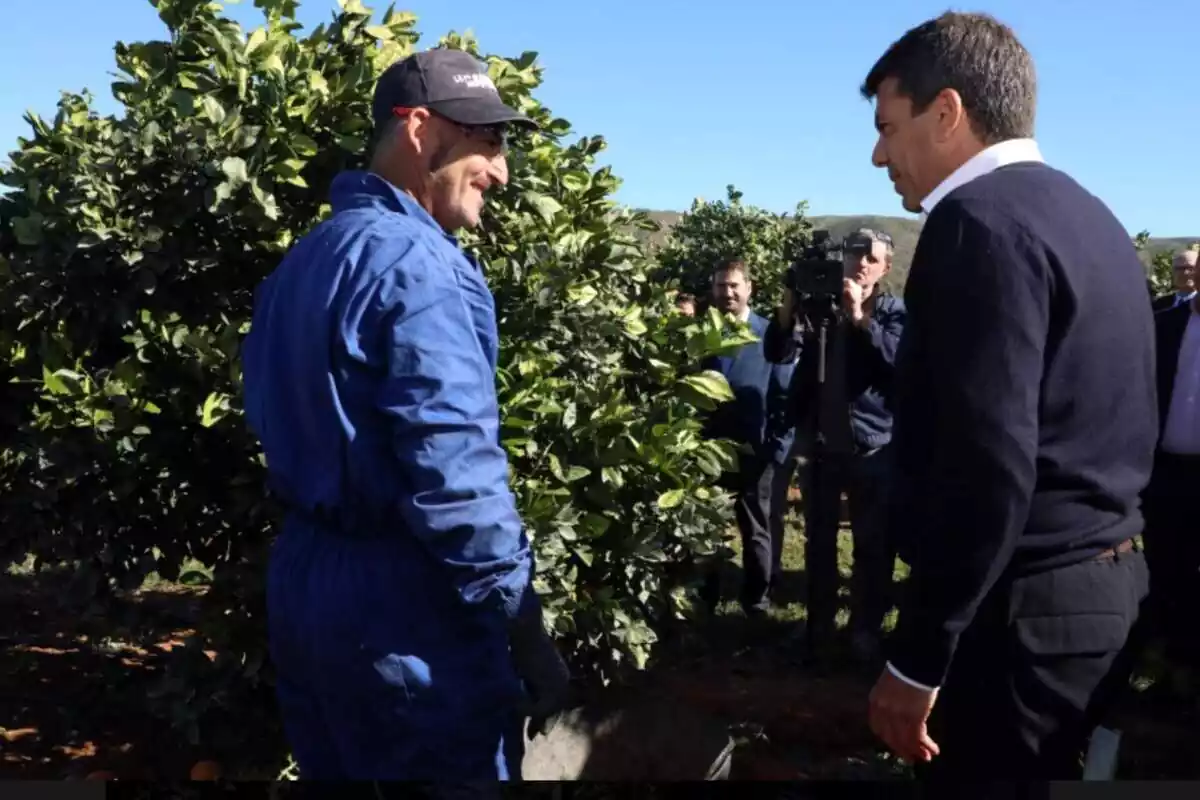Carlos Mazón visita un campo citrícola junto a un labrador