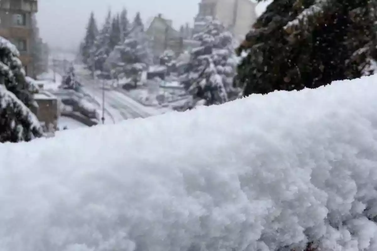 Foto del vídeo compartido por Francesc Mauri de la nevada en los Prineos con nieve en primer plano