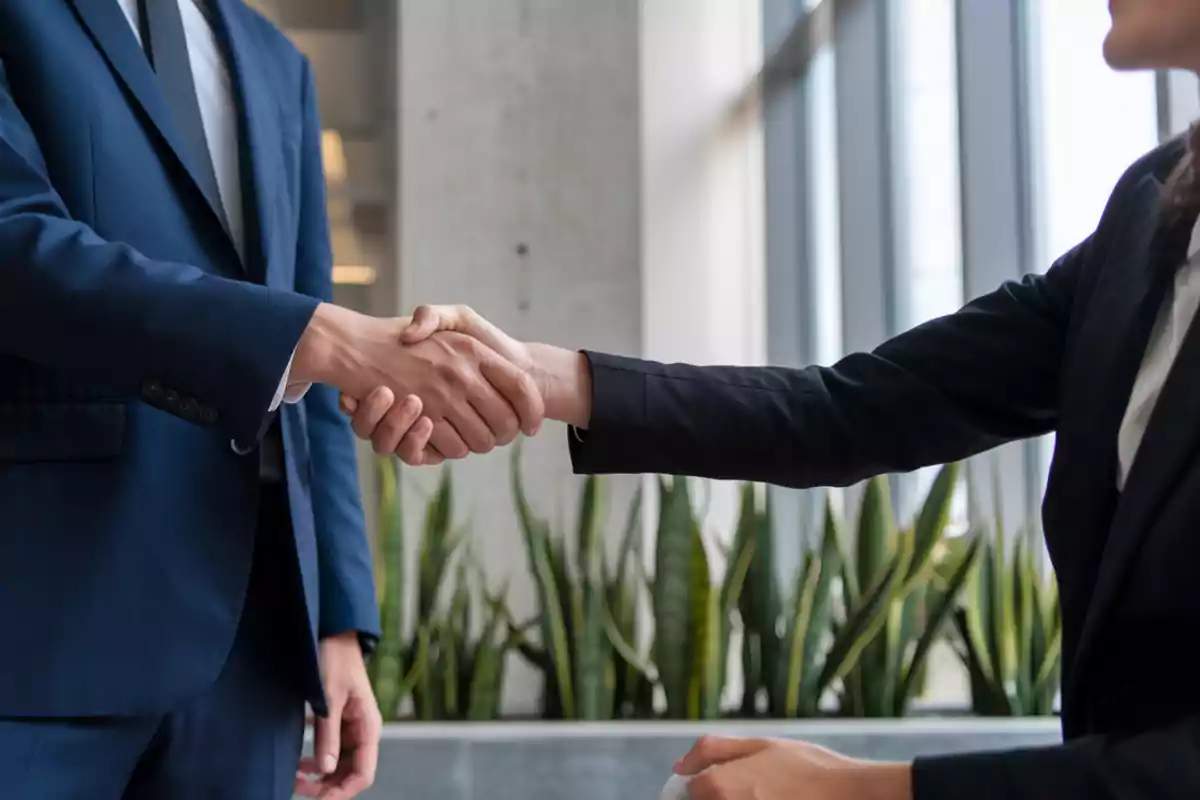 Two people shaking hands in an office setting.