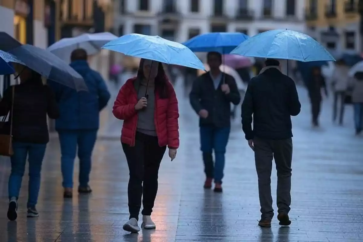Personas caminando bajo la lluvia con paraguas en una calle urbana. Personas caminando bajo la lluvia con paraguas en una calle urbana.