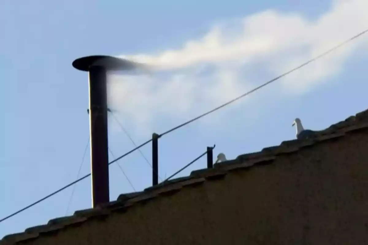 Una chimenea emitiendo humo blanco sobre un techo con dos aves posadas. Una chimenea emitiendo humo blanco sobre un techo con dos aves posadas.