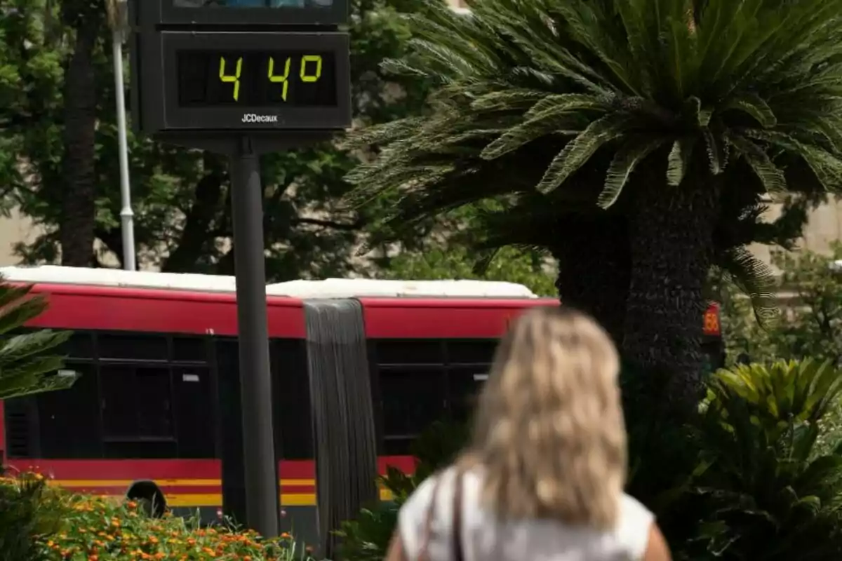 Una persona de espaldas observa un termómetro que marca 44 grados Celsius, con un autobús rojo y vegetación en el fondo. Una persona de espaldas observa un termómetro que marca 44 grados Celsius, con un autobús rojo y vegetación en el fondo.