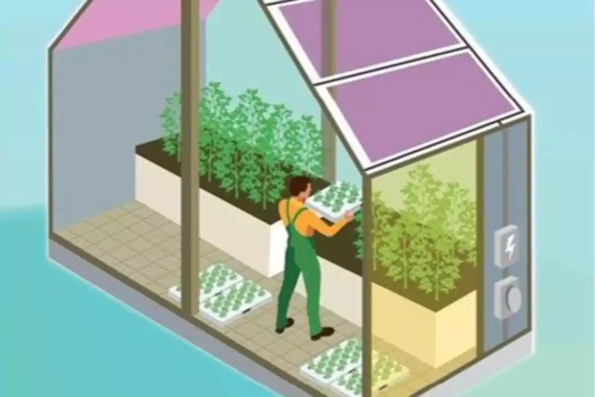 Ilustración de un invernadero con un techo de paneles solares, donde una persona está cuidando plantas en su interior.