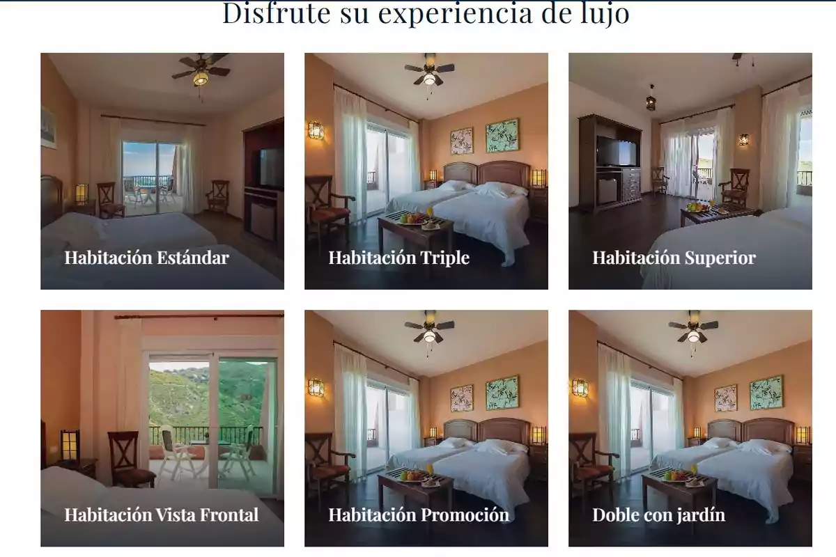 Seis tipos de habitaciones de hotel con diferentes características y decoraciones, incluyendo estándar, triple, superior, vista frontal, promoción y doble con jardín. Seis tipos de habitaciones de hotel con diferentes características y decoraciones, incluyendo estándar, triple, superior, vista frontal, promoción y doble con jardín.