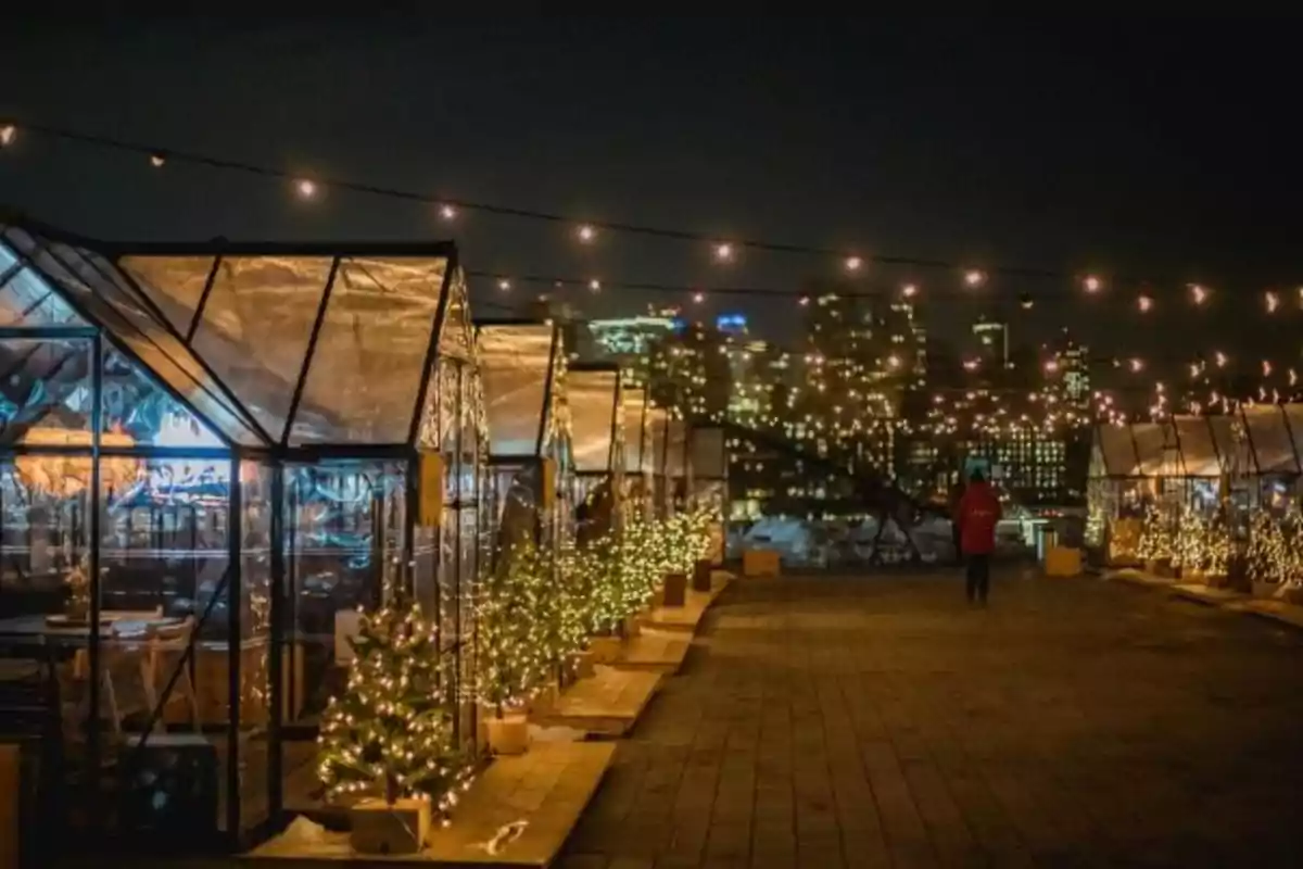 Una serie de invernaderos iluminados con luces navideñas en una azotea con vistas a una ciudad por la noche.