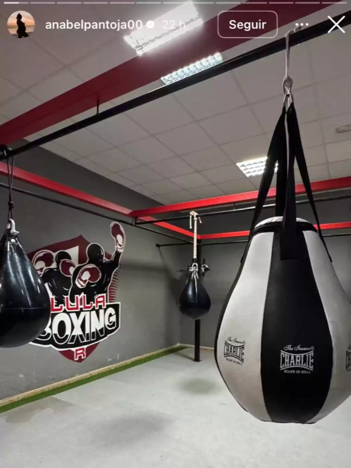Un gimnasio de boxeo con sacos de boxeo colgando y un logotipo en la pared. Un gimnasio de boxeo con sacos de boxeo colgando y un logotipo en la pared.