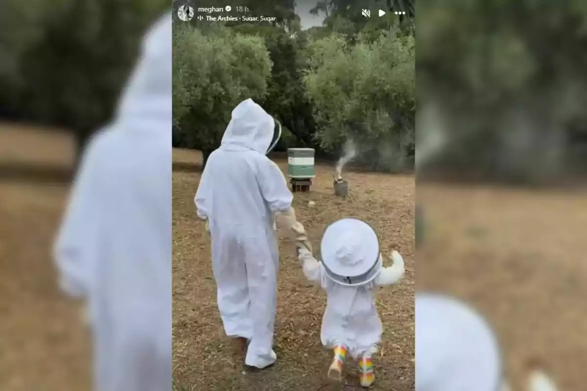 Two people dressed in beekeeping suits walk hand in hand toward a beehive in a natural setting surrounded by trees.