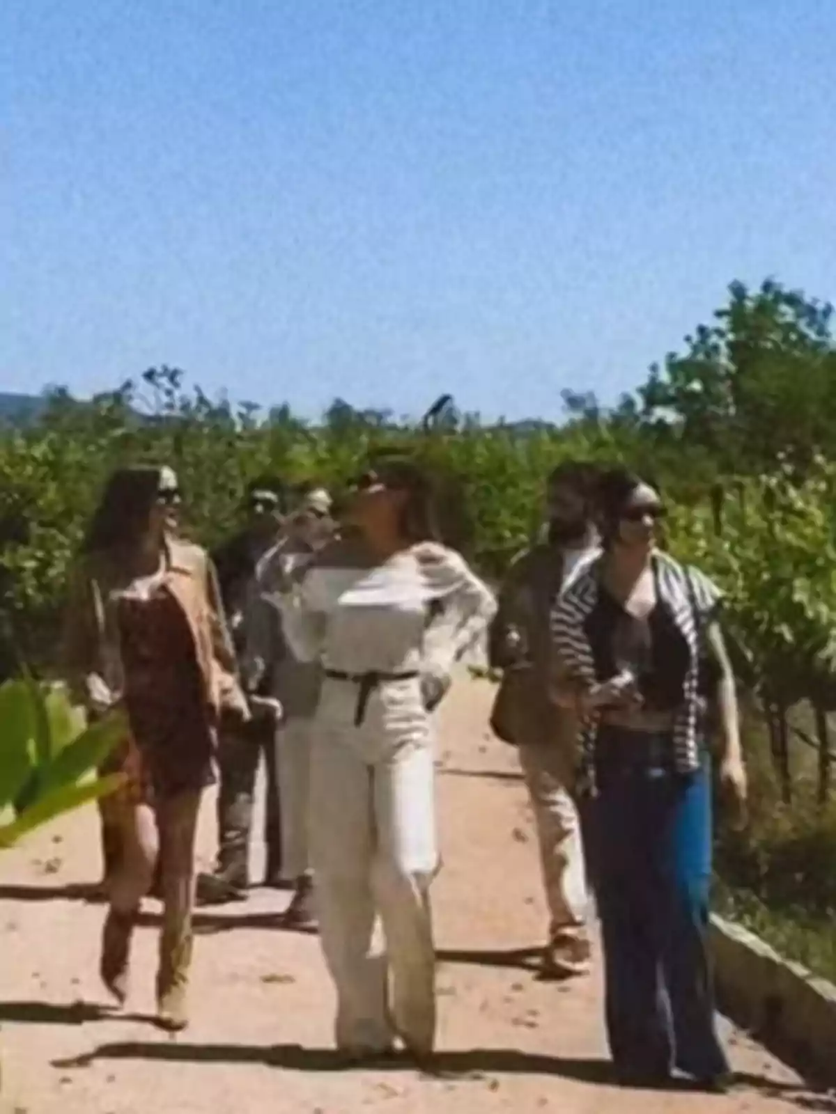 Grupo de personas caminando por un sendero rodeado de vegetación bajo un cielo despejado Grupo de personas caminando por un sendero rodeado de vegetación bajo un cielo despejado