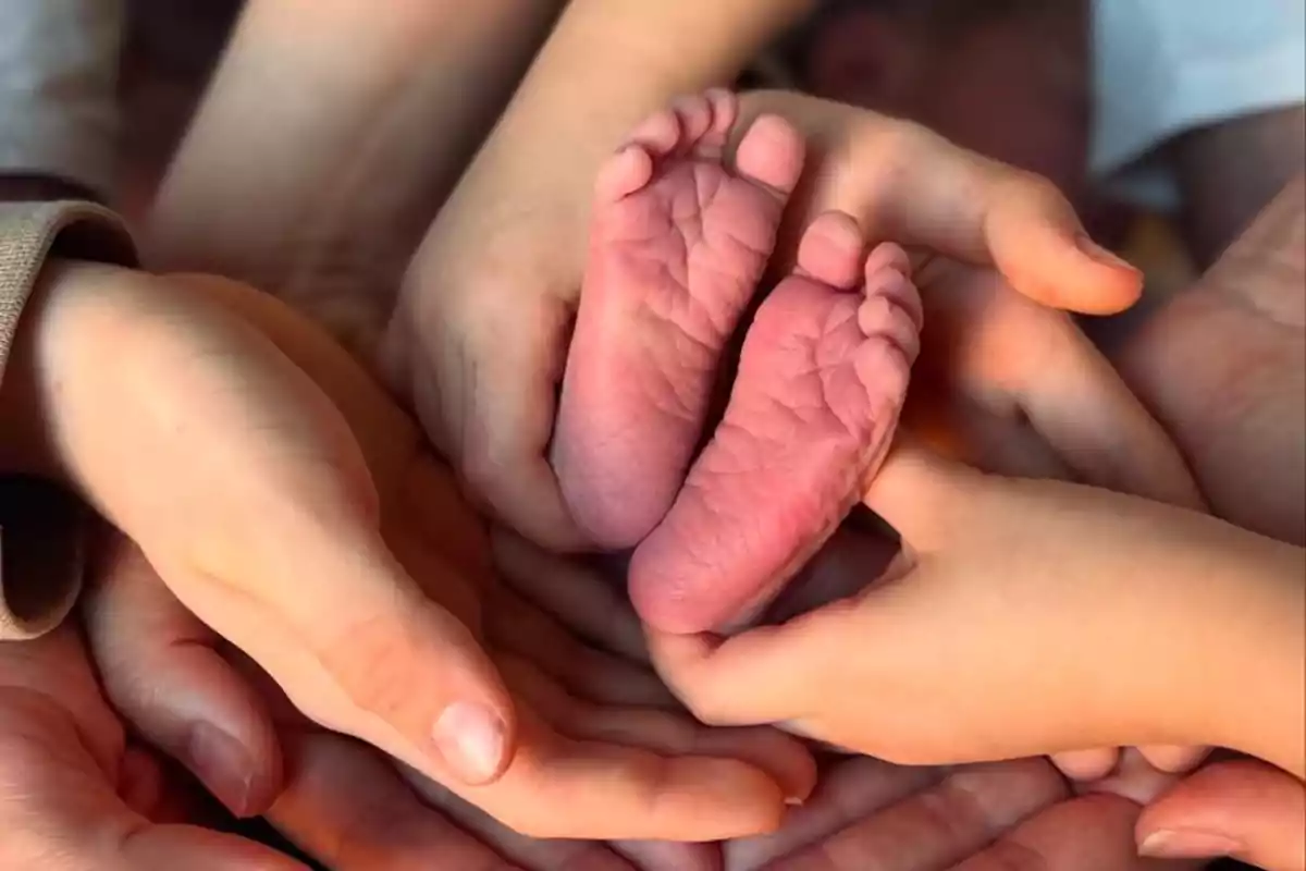 Manos de adultos sosteniendo los pies de un bebé recién nacido. Manos de adultos sosteniendo los pies de un bebé recién nacido.