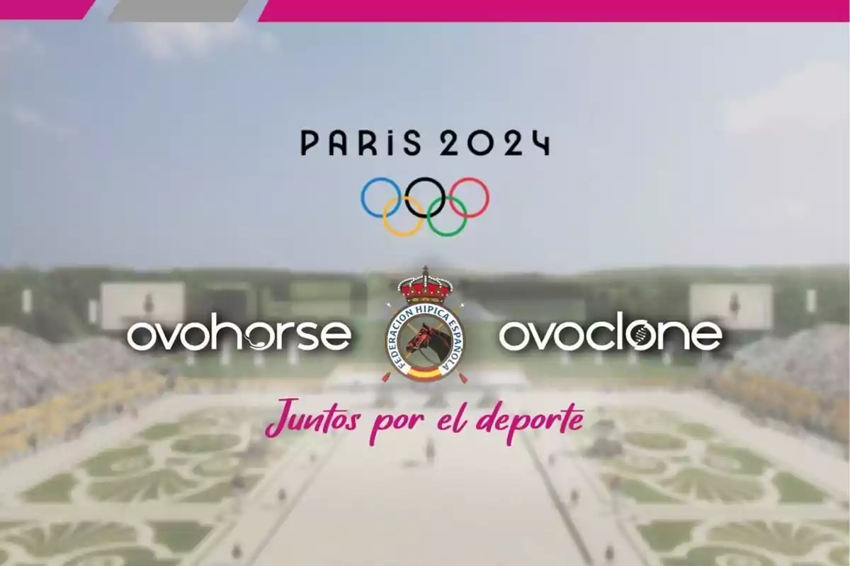 Imagen promocional de los Juegos Olímpicos de París 2024 con los logotipos de Ovohorse, Ovoclone y la Federación Hípica Española, acompañados del lema "Juntos por el deporte".