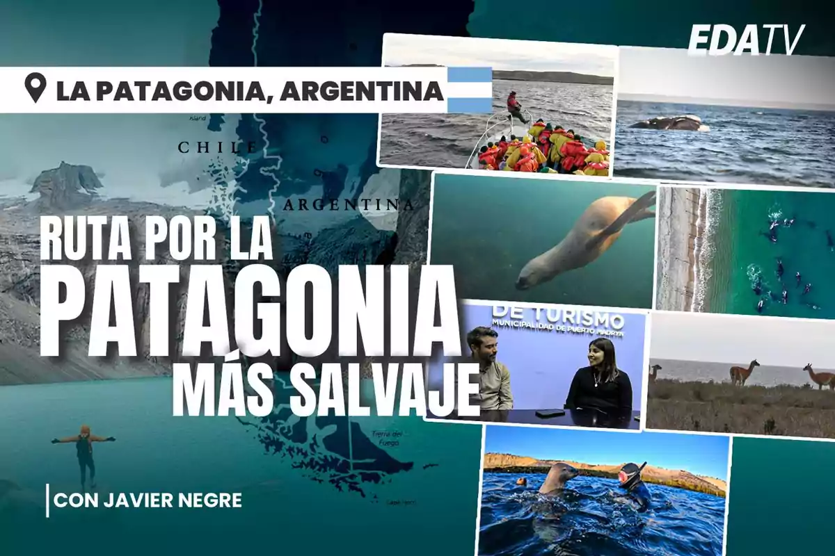 Ruta por la Patagonia más salvaje en EDA TV con Javier Negre, mostrando diversas actividades y paisajes de la región, incluyendo fauna marina y terrestre, así como entrevistas y exploraciones.