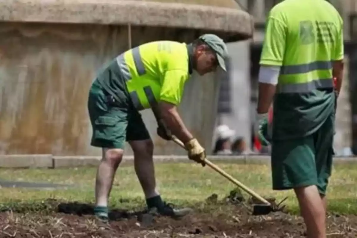 Jardineros trabajando en una plaza